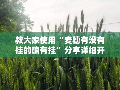 教大家使用“麦穗有没有挂的确有挂”分享详细开挂教程