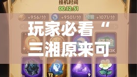 玩家必看“三湘原来可以开挂”真可以装挂