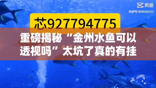 重磅揭秘“金州水鱼可以透视吗”太坑了真的有挂