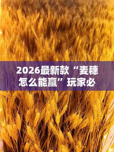 2026最新款“麦穗怎么能赢”玩家必备神器