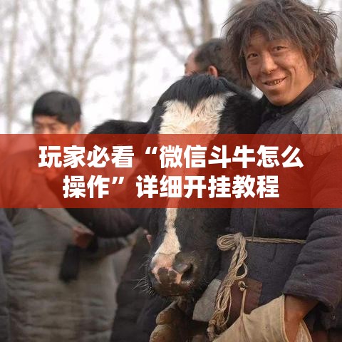 玩家必看“微信斗牛怎么操作	”详细开挂教程