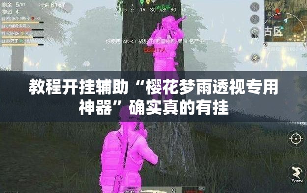 教程开挂辅助“樱花梦雨透视专用神器”确实真的有挂