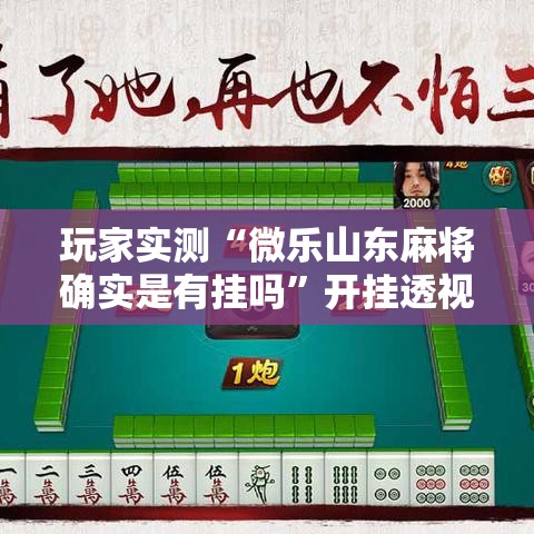 玩家实测“微乐山东麻将确实是有挂吗”开挂透视必胜方法