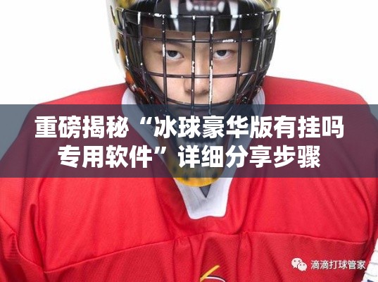 重磅揭秘“冰球豪华版有挂吗专用软件”详细分享步骤