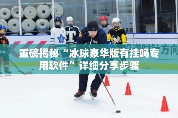重磅揭秘“冰球豪华版有挂吗专用软件”详细分享步骤