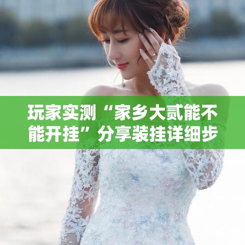玩家实测“家乡大贰能不能开挂”分享装挂详细步骤