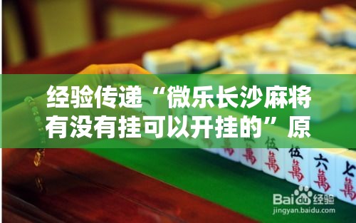 经验传递“微乐长沙麻将有没有挂可以开挂的”原来确实有挂