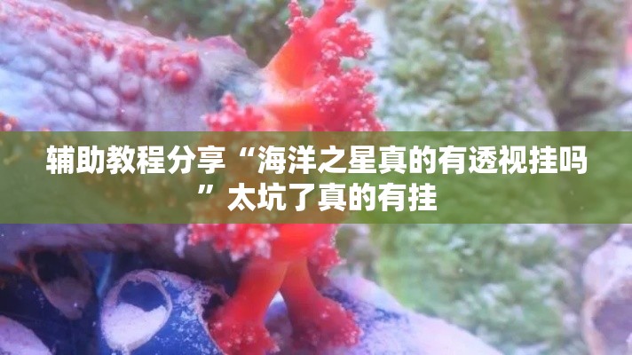 辅助教程分享“海洋之星真的有透视挂吗”太坑了真的有挂
