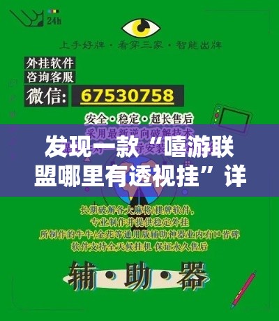 发现一款“嘻游联盟哪里有透视挂”详细开挂方法
