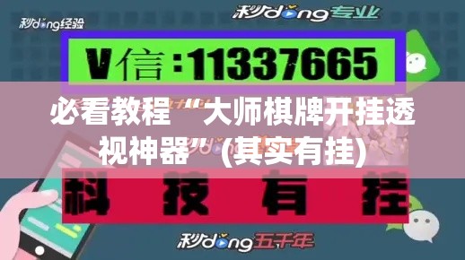 必看教程“大师棋牌开挂透视神器”(其实有挂)