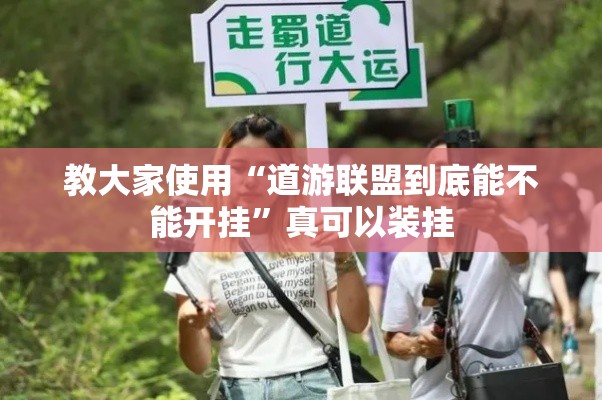 教大家使用“道游联盟到底能不能开挂”真可以装挂