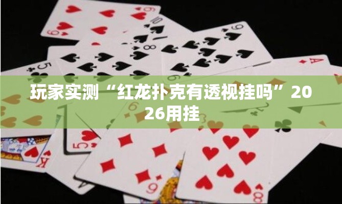 玩家实测“红龙扑克有透视挂吗”2026用挂