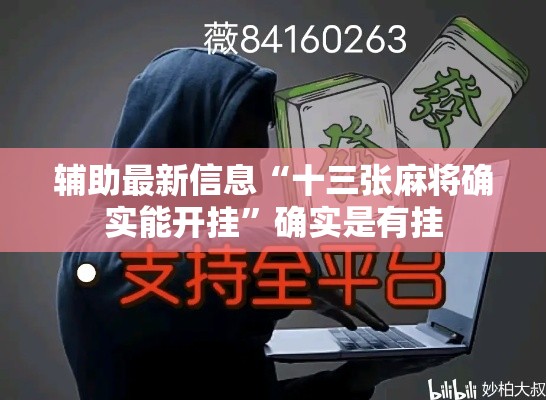 辅助最新信息“十三张麻将确实能开挂”确实是有挂