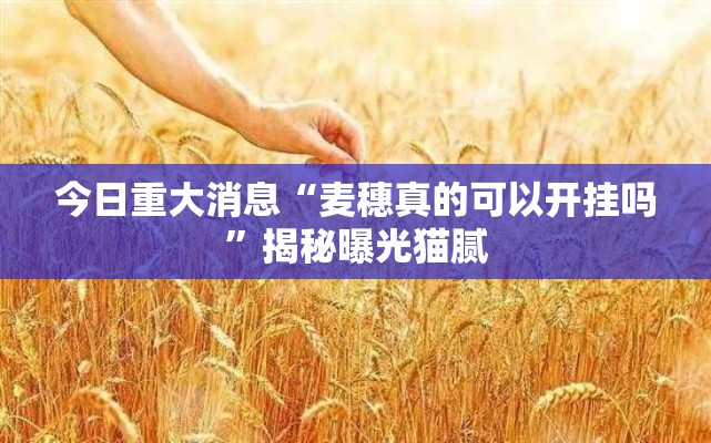 今日重大消息“麦穗真的可以开挂吗”揭秘曝光猫腻
