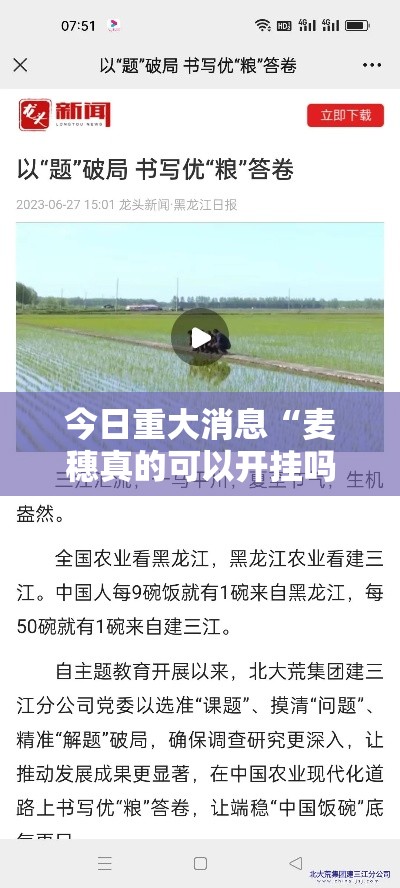 今日重大消息“麦穗真的可以开挂吗”揭秘曝光猫腻