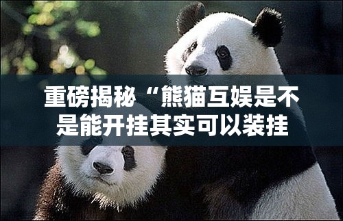 重磅揭秘“熊猫互娱是不是能开挂其实可以装挂 重磅揭秘“熊猫互娱是不是能开挂其实可以装挂