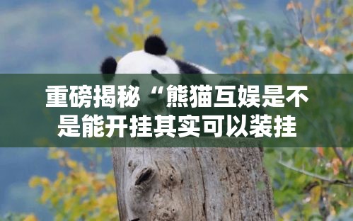 重磅揭秘“熊猫互娱是不是能开挂其实可以装挂 重磅揭秘“熊猫互娱是不是能开挂其实可以装挂