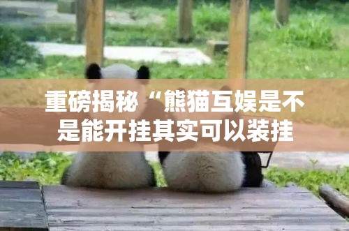 重磅揭秘“熊猫互娱是不是能开挂其实可以装挂 重磅揭秘“熊猫互娱是不是能开挂其实可以装挂
