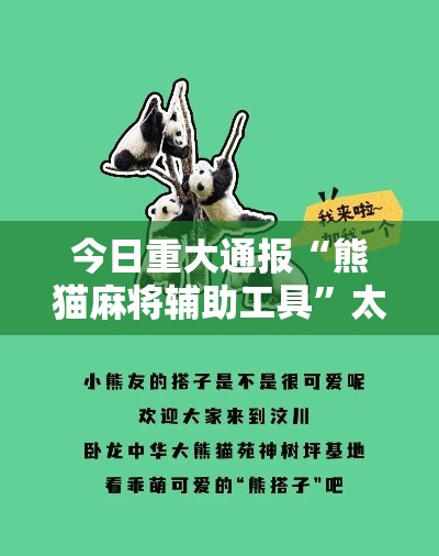 今日重大通报“熊猫麻将辅助工具	”太坑了真的有挂