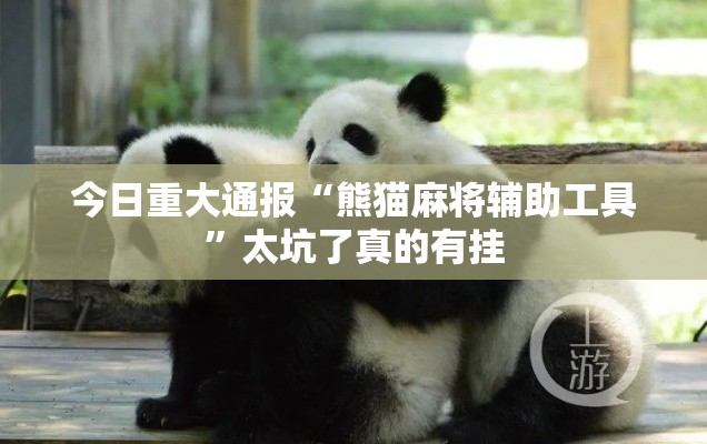 今日重大通报“熊猫麻将辅助工具”太坑了真的有挂