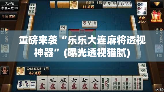 重磅来袭“乐乐大连麻将透视神器”(曝光透视猫腻)