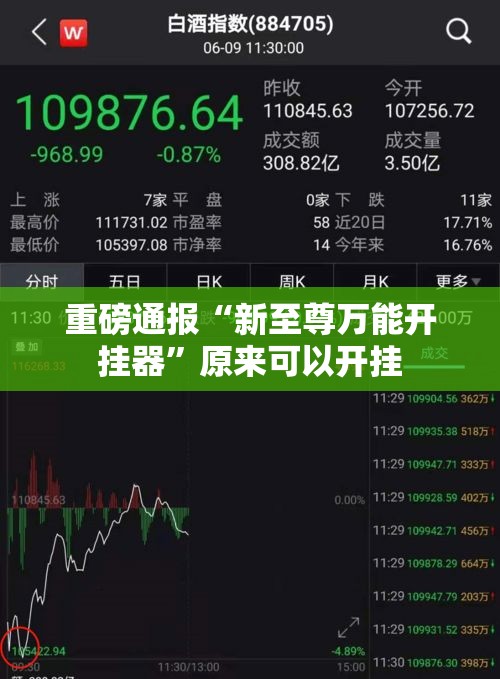 重磅通报“新至尊万能开挂器	”原来可以开挂