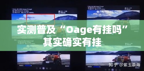 实测普及“Oage有挂吗”其实确实有挂