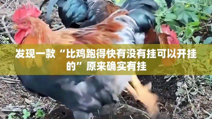 发现一款“比鸡跑得快有没有挂可以开挂的”原来确实有挂