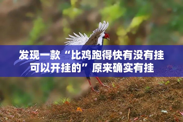 发现一款“比鸡跑得快有没有挂可以开挂的”原来确实有挂