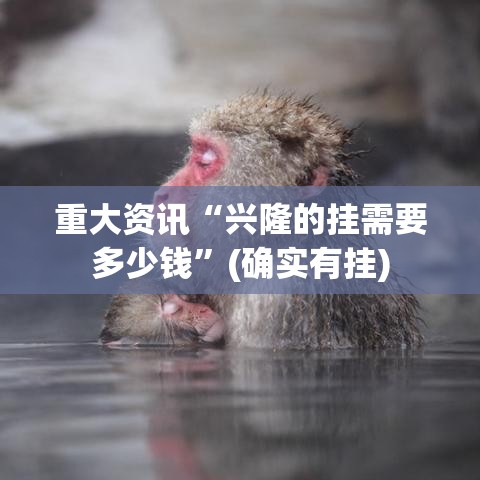 重大资讯“兴隆的挂需要多少钱”(确实有挂)