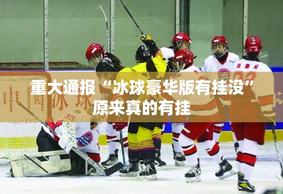重大通报“冰球豪华版有挂没”原来真的有挂