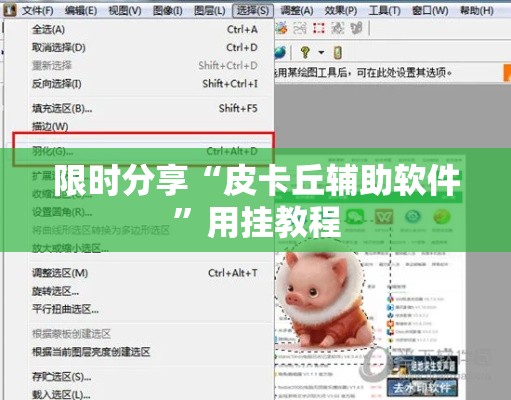 限时分享“皮卡丘辅助软件	”用挂教程
