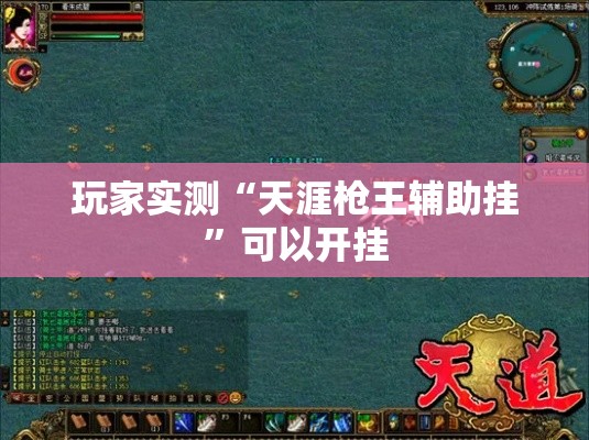 玩家实测“天涯枪王辅助挂”可以开挂