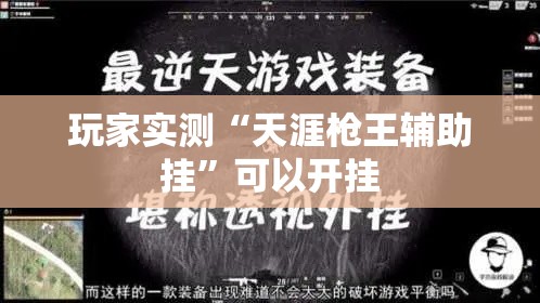 玩家实测“天涯枪王辅助挂”可以开挂