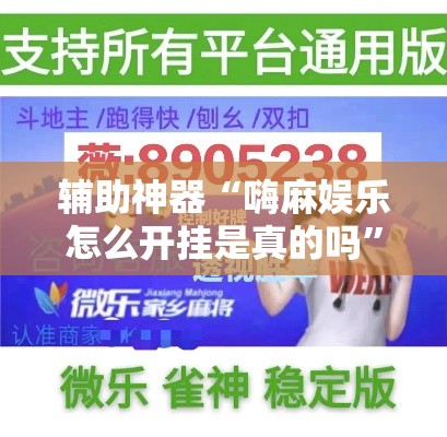 辅助神器“嗨麻娱乐怎么开挂是真的吗”玩家必备神器
