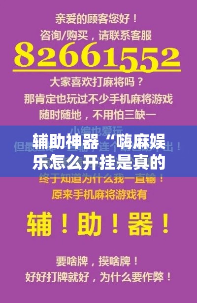 辅助神器“嗨麻娱乐怎么开挂是真的吗”玩家必备神器