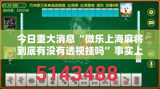 今日重大消息“微乐上海麻将到底有没有透视挂吗”事实上真的有挂