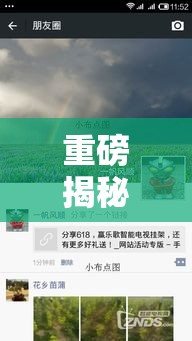 重磅揭秘“优乐到底怎么开挂”太坑了原来有挂