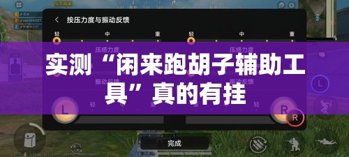 实测“闲来跑胡子辅助工具	”真的有挂