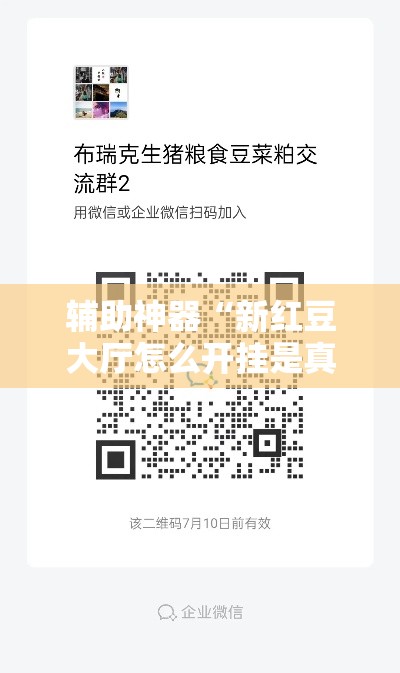 辅助神器“新红豆大厅怎么开挂是真的吗”详细开挂教程