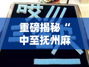 重磅揭秘“中至抚州麻将必赢透视神器”曝光透视猫腻