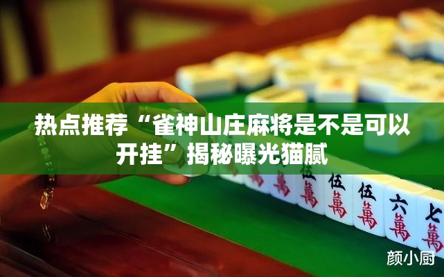 热点推荐“雀神山庄麻将是不是可以开挂”揭秘曝光猫腻