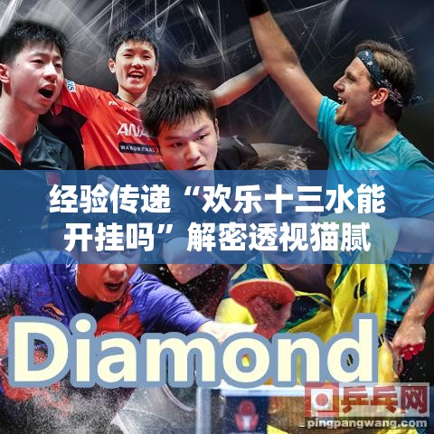 经验传递“欢乐十三水能开挂吗”解密透视猫腻