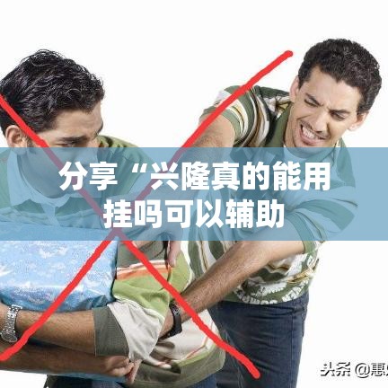 分享“兴隆真的能用挂吗可以辅助