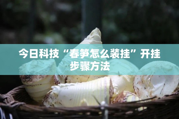 今日科技“春笋怎么装挂	”开挂步骤方法