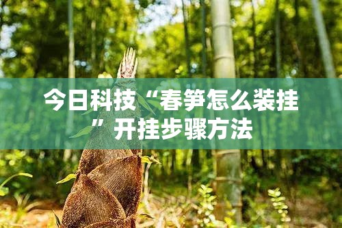 今日科技“春笋怎么装挂”开挂步骤方法