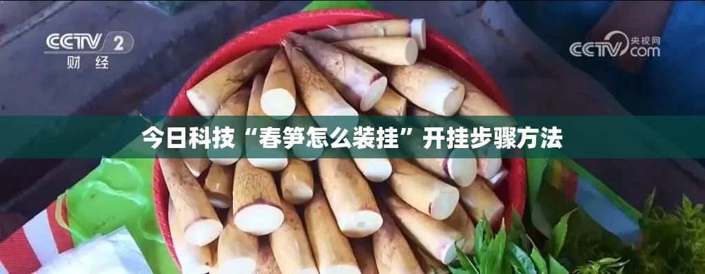 今日科技“春笋怎么装挂”开挂步骤方法