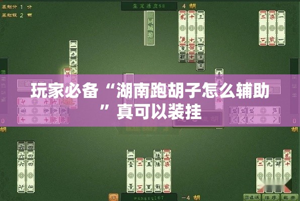 玩家必备“湖南跑胡子怎么辅助”真可以装挂