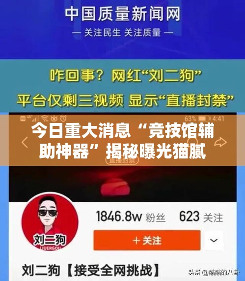 今日重大消息“竞技馆辅助神器”揭秘曝光猫腻
