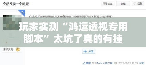 玩家实测“鸿运透视专用脚本	”太坑了真的有挂